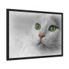93855-325.jpg Beautiful Cat with Green Eyes Framed Poster