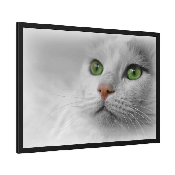 93855-325.jpg Beautiful Cat with Green Eyes Framed Poster