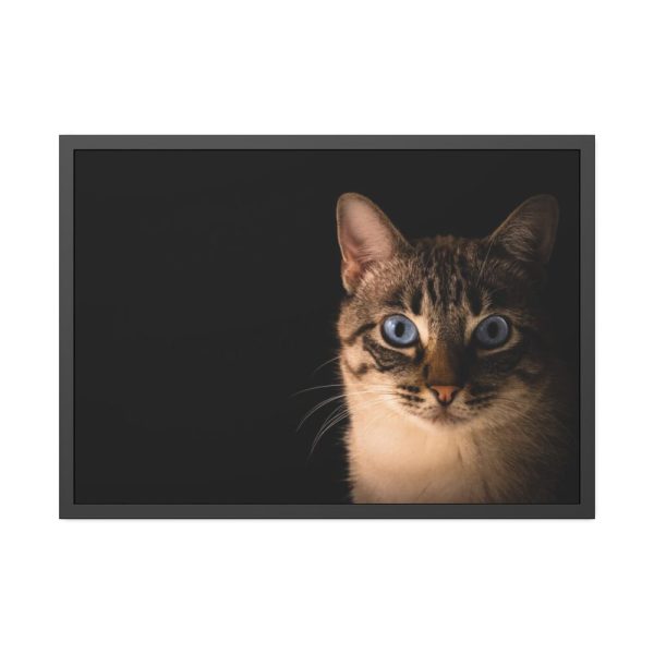 93855-328.jpg Cute Cat with Blue Eyes Framed Poster