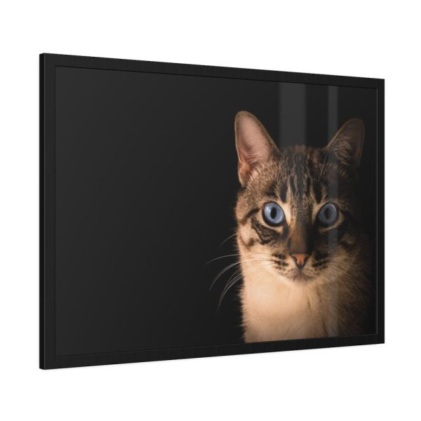 93855-329.jpg Cute Cat with Blue Eyes Framed Poster