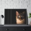 93855-331.jpg Cute Cat with Blue Eyes Framed Poster
