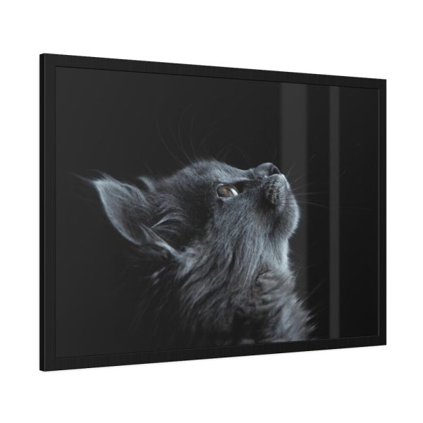 Cute Gray Cat Framed Poster
