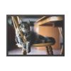 93855-340.jpg Beautiful Cat on Chair Framed Poster