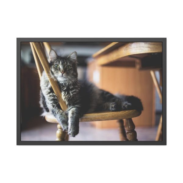 93855-340.jpg Beautiful Cat on Chair Framed Poster