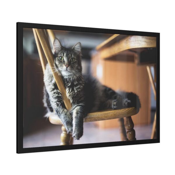 93855-341.jpg Beautiful Cat on Chair Framed Poster