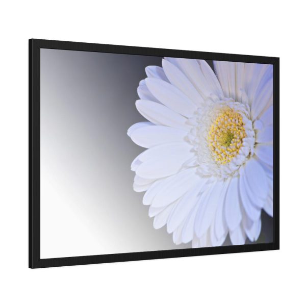 93855-345.jpg White Gerbera Framed Poster