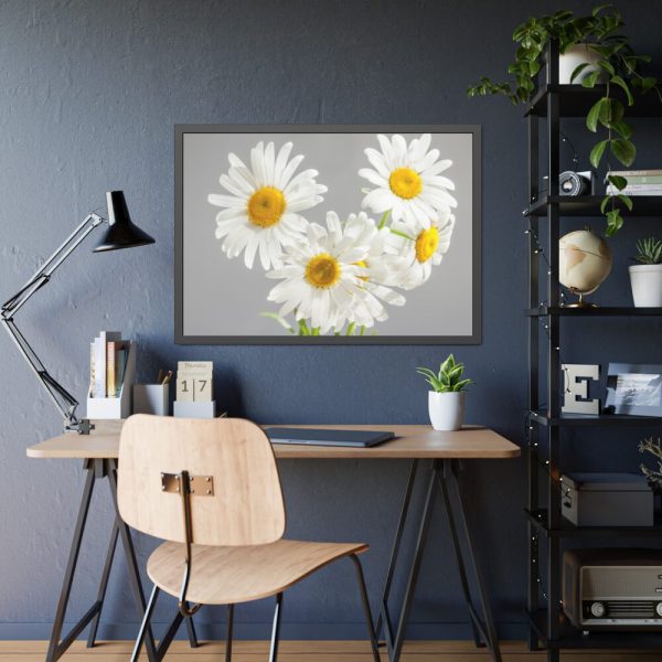 White Daisy Bloom Framed Poster