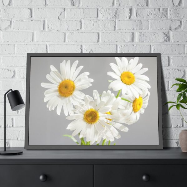 White Daisy Bloom Framed Poster