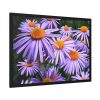 93855-353.jpg Wild Flower Framed Poster