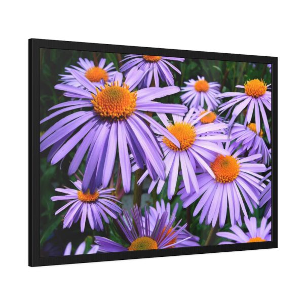 93855-353.jpg Wild Flower Framed Poster