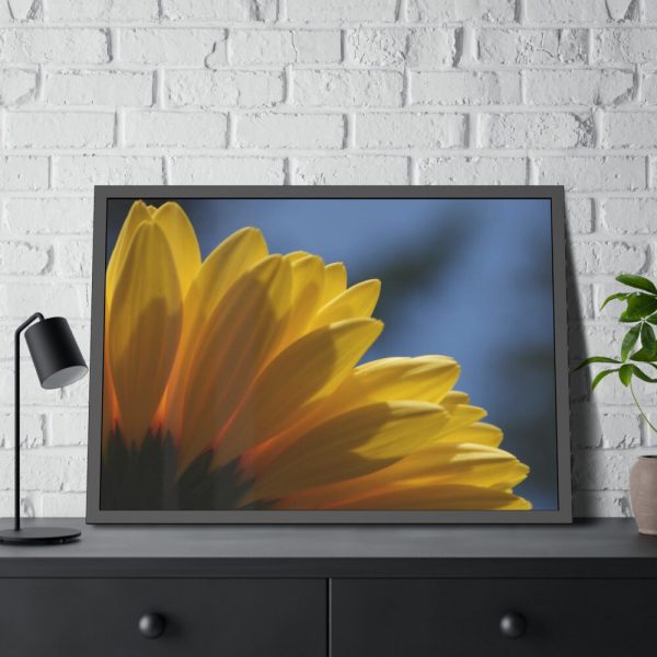 93855-363.jpg Daisy Gerbera Framed Poster