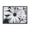 93855-364.jpg Flower Petal Framed Poster