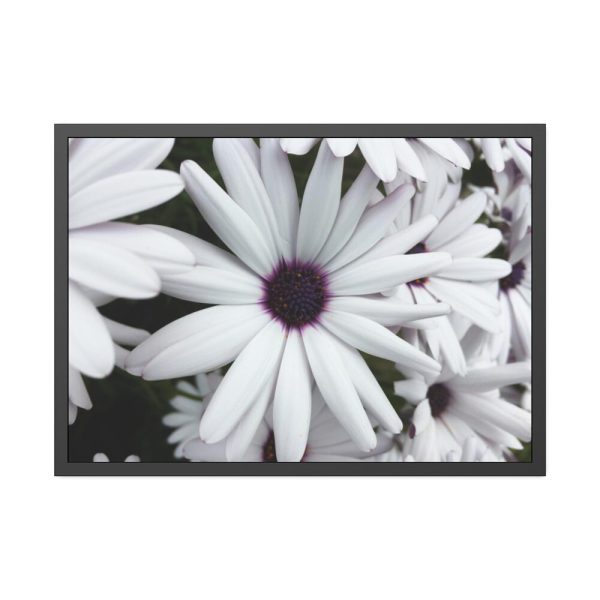 93855-364.jpg Flower Petal Framed Poster