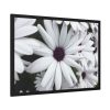 93855-365.jpg Flower Petal Framed Poster