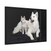 93855-37.jpg White Swiss Shepherds Framed Poster