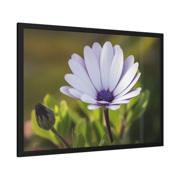 93855-393.jpg Herbaceous Plant Framed Poster