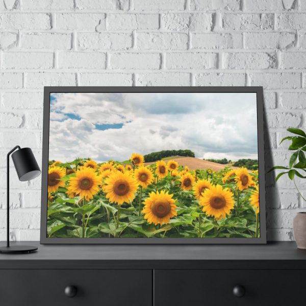 93855-403.jpg Agriculture Sunflower Framed Poster