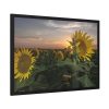 93855-405.jpg Sunflower Plant Flower Framed Poster