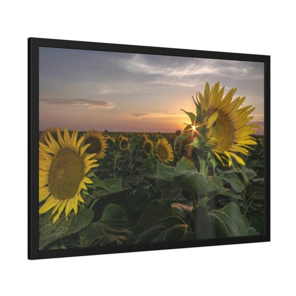 93855-405.jpg Sunflower Plant Flower Framed Poster