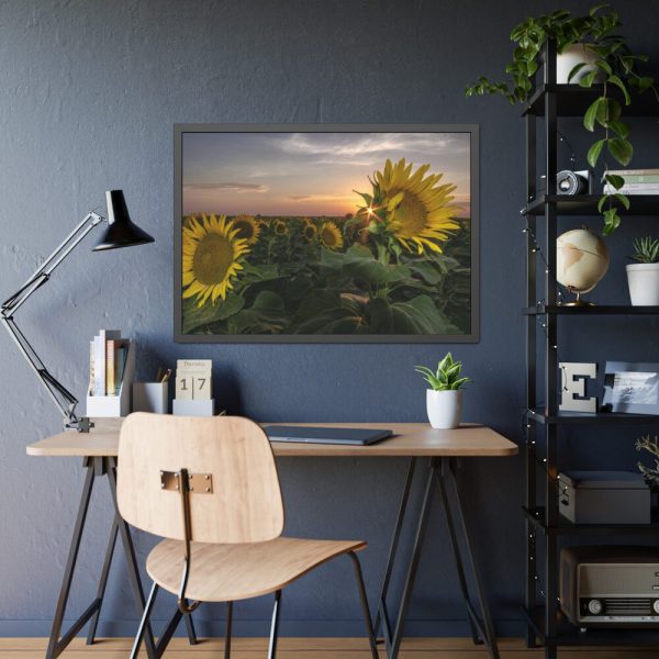 93855-406.jpg Sunflower Plant Flower Framed Poster