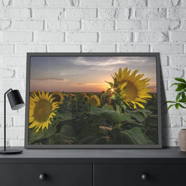 93855-407.jpg Sunflower Plant Flower Framed Poster