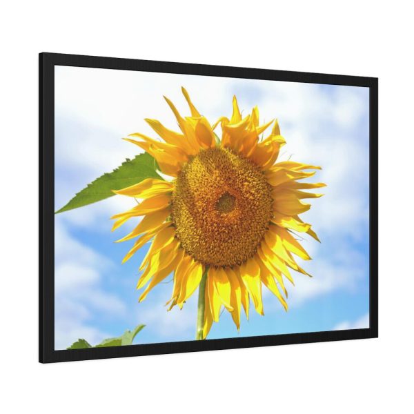 93855-425.jpg Farming Yellow Flowers Framed Poster