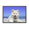 93855-44.jpg Dog on the Beach Framed Poster