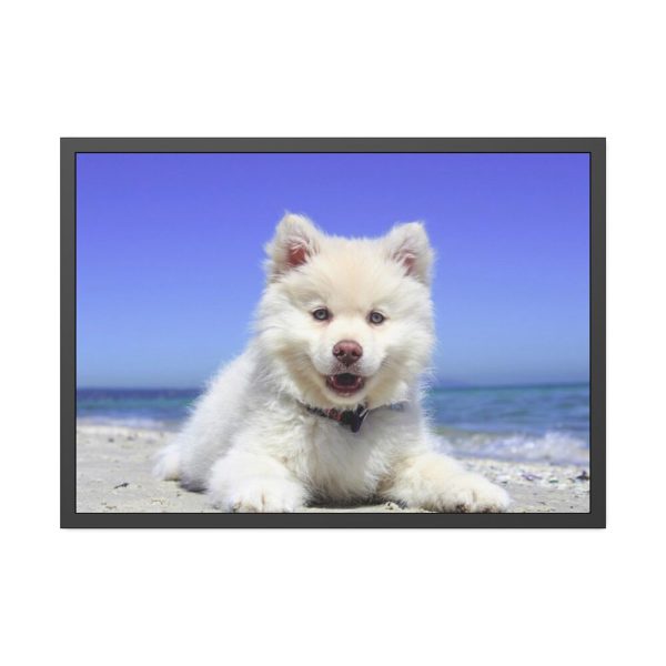 93855-44.jpg Dog on the Beach Framed Poster