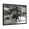 93855-493.jpg Mother and Baby Elephant on the Road Framed Poster