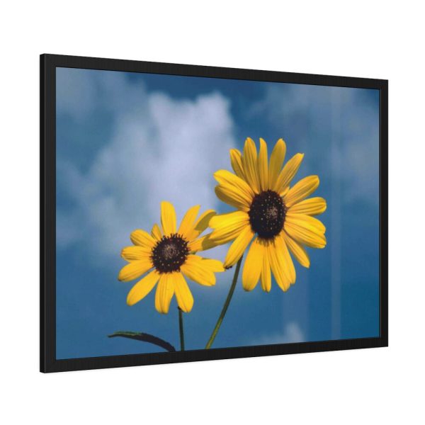 93855-525.jpg Blue Sky and Sunflower Framed Poster
