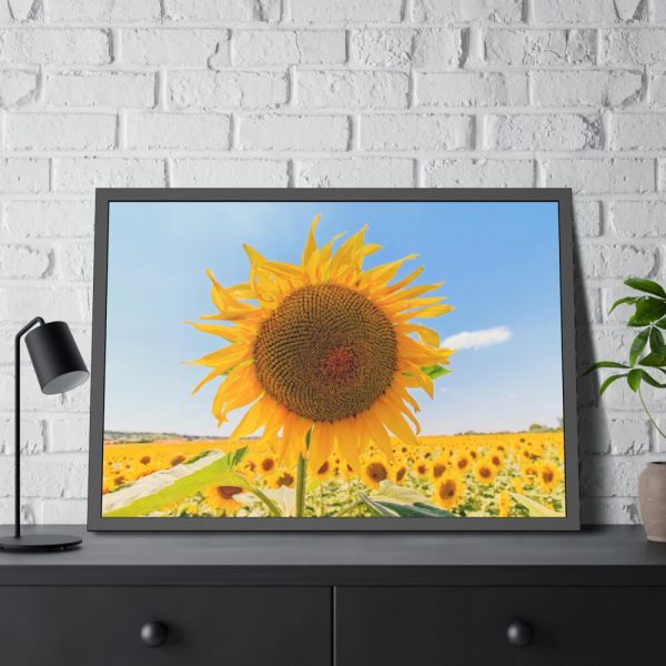 93855-543.jpg Sunflower Summer Framed Poster