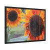 93855-545.jpg Colorful Orange Sunflower Framed Poster