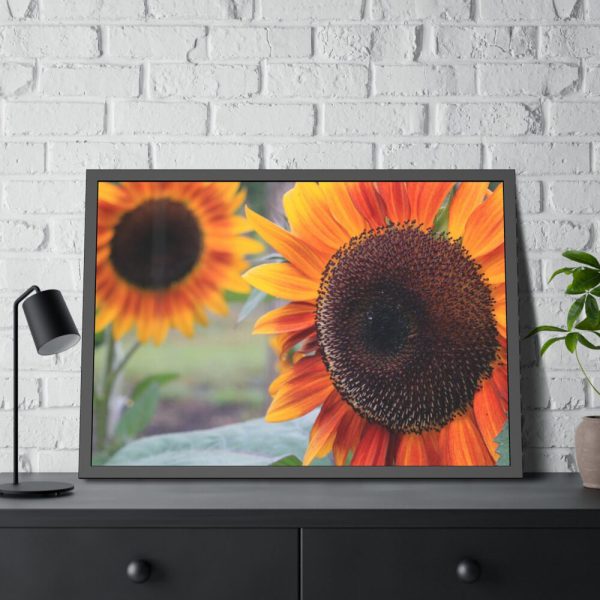 93855-547.jpg Colorful Orange Sunflower Framed Poster