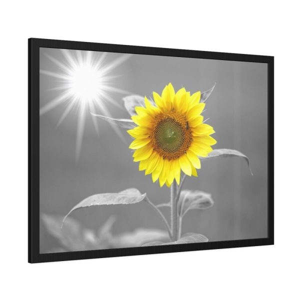 93855-549.jpg Beauty Sunflower Framed Poster