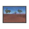 Desert in Africa Framed Poster