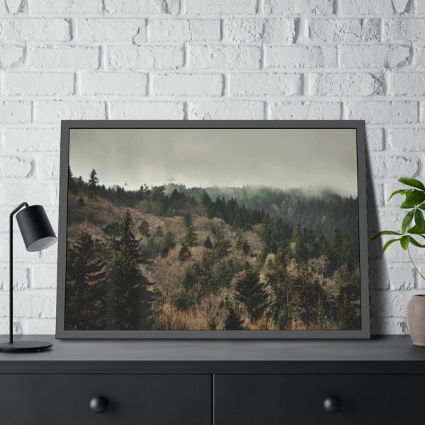 93855-575.jpg Forest Nature Framed Poster