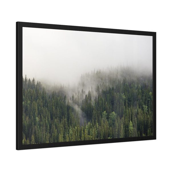 93855-577.jpg Forest in Fog Framed Poster