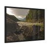93855-581.jpg Creek River in the Forest Framed Poster