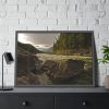 93855-583.jpg Creek River in the Forest Framed Poster