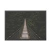 93855-628.jpg Bridge Leading to a Dense Forest Framed Poster