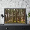 93855-635.jpg Leominster State Forest Framed Poster