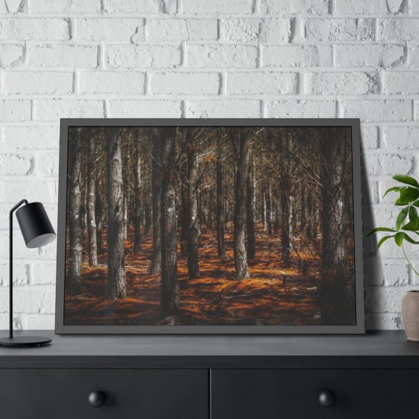 93855-639.jpg Dark Overgrown Forest Framed Poster