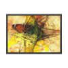 93855-64.jpg Butterfly Stopwatch Eye Face Poster
