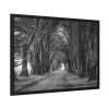 93855-645.jpg A Path Through the Forest Framed Poster