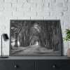 93855-647.jpg A Path Through the Forest Framed Poster