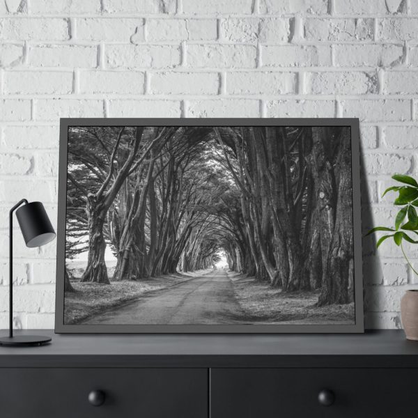 93855-647.jpg A Path Through the Forest Framed Poster