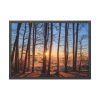 93855-648.jpg Forest Landscape with Sun and Trees Framed Poster