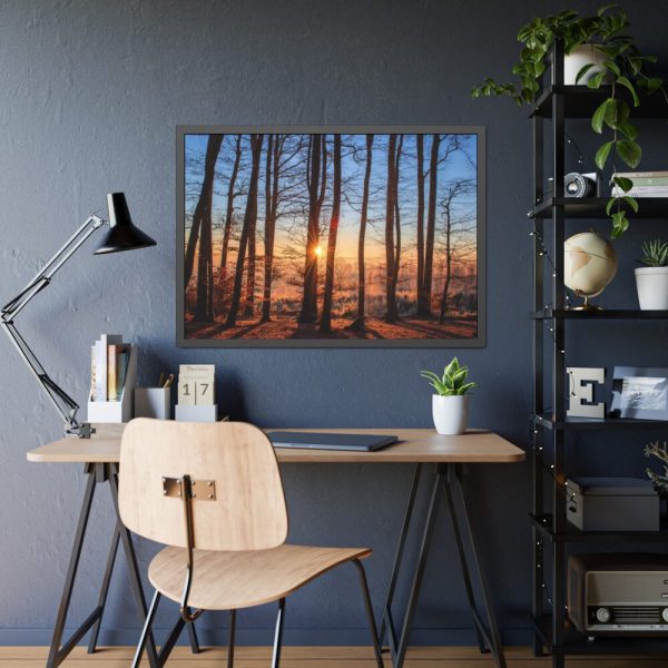 93855-650.jpg Forest Landscape with Sun and Trees Framed Poster