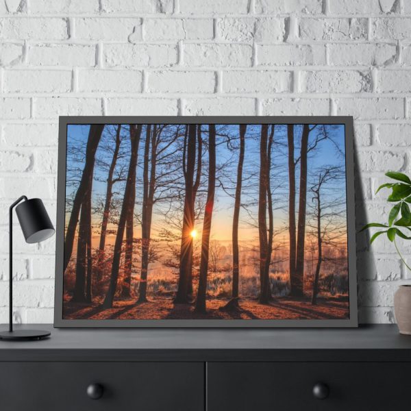93855-651.jpg Forest Landscape with Sun and Trees Framed Poster