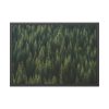 93855-656.jpg Forest on Mount Saint Helens Framed Poster